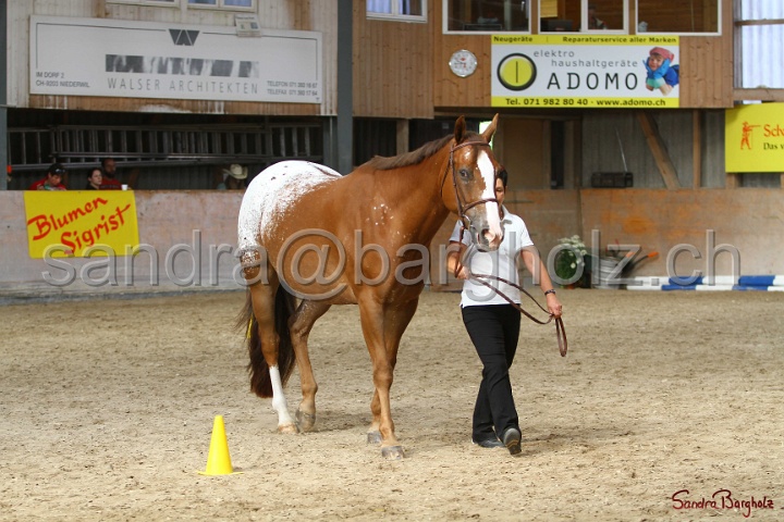 24-ApHC HIH_063.jpg